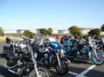 DSC03768.JPG