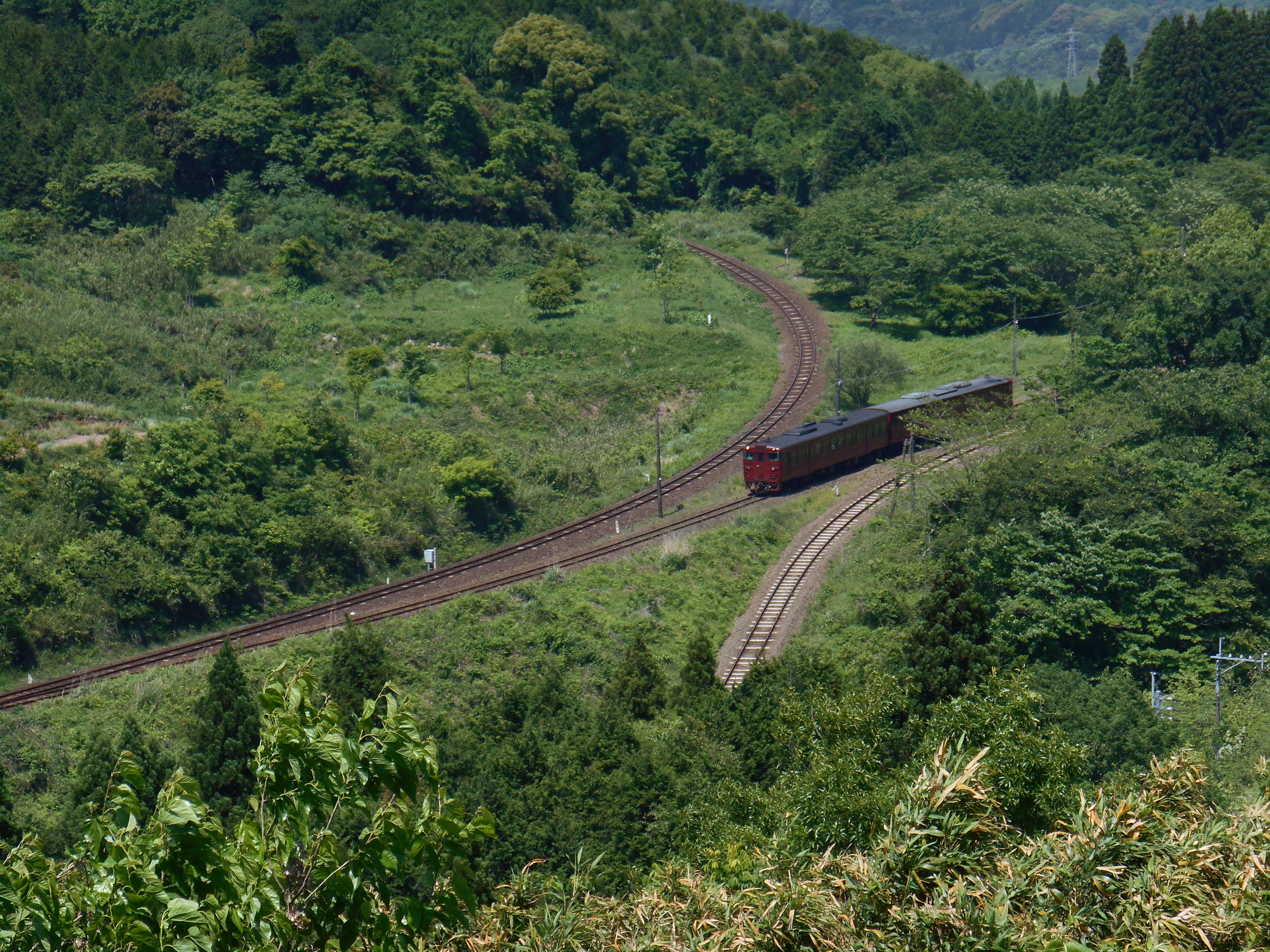 width:5152*height:3864