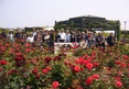 20130505.jpg